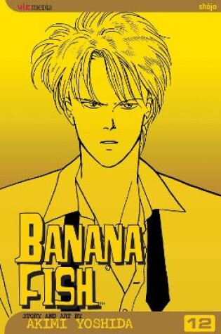 Cover of Banana Fish, Vol. 12