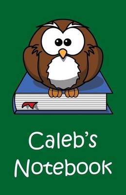 Book cover for Caleb's Notebook