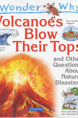 Cover of I Wonder Why Volcanoes Blow Their Tops and Other Questions about Natural Disasters