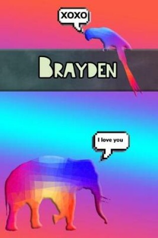 Cover of Colorful Jungle Brayden