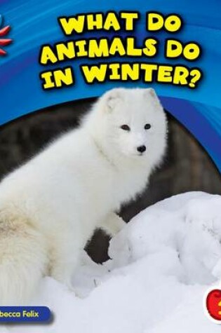 Cover of What Do Animals Do in Winter?