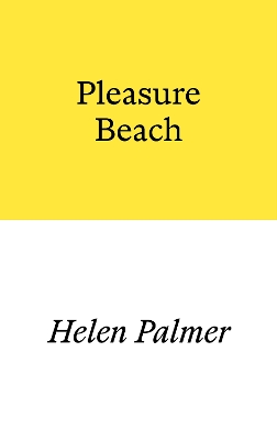 Book cover for Pleasure Beach