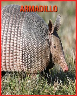 Book cover for Armadillo