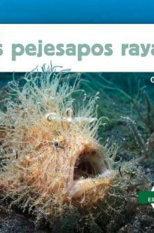Cover of Los Pejesapos Rayados (Hairy Frogfish)
