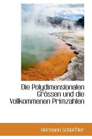 Cover of Die Polydimensionalen Grossen Und Die Vollkommenen Primzahlen