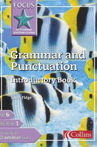 Cover of Grammar and Punctuation Introductory Book