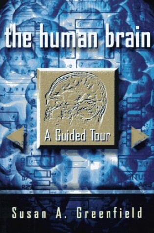 Cover of The Human Brain