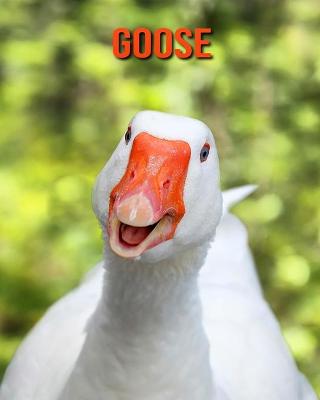 Book cover for Goose