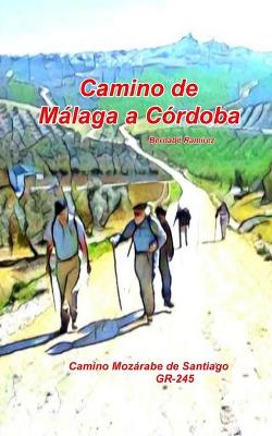 Book cover for Camino de Malaga a Cordoba