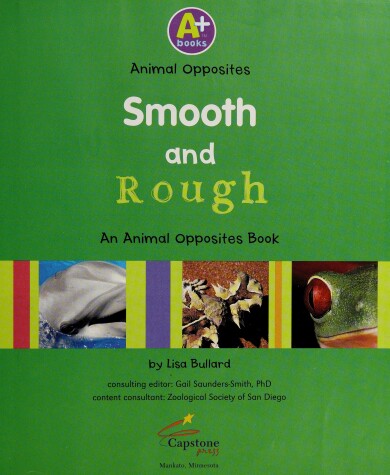 Book cover for Smooth and Rough