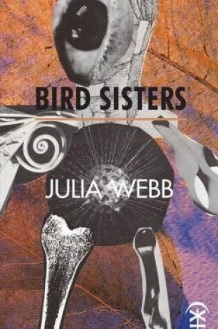 Cover of Bird Sisters