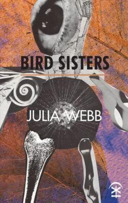 Book cover for Bird Sisters