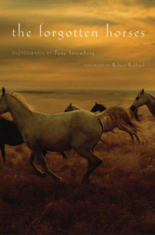 Cover of The Forgotten Horses