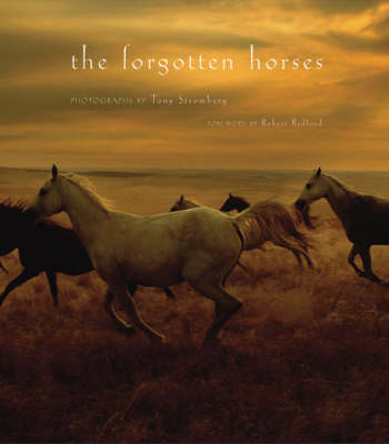 Book cover for The Forgotten Horses