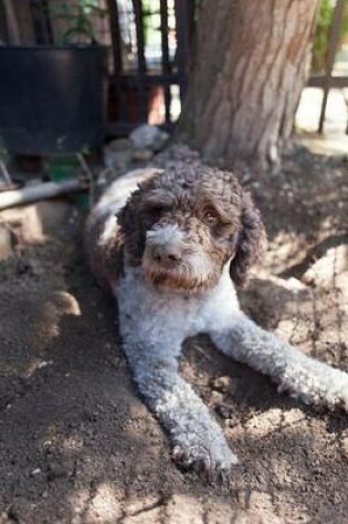 Cover of The Lagotto Romagnolo Dog Journal