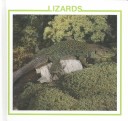 Book cover for Lizards