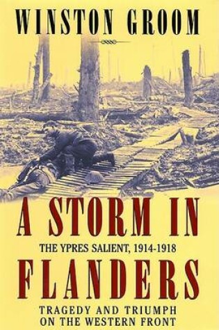 Cover of A Storm in Flanders