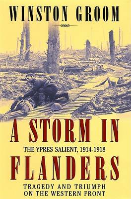 Book cover for A Storm in Flanders