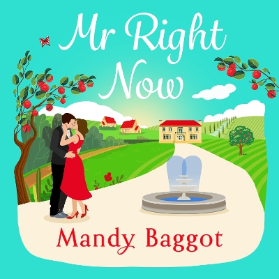 Book cover for Mr Right Now