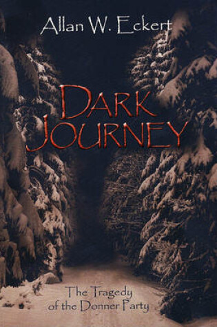 Cover of Dark Journey