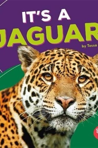 Cover of It's a Jaguar!