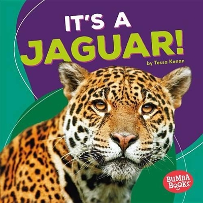 Book cover for It's a Jaguar!