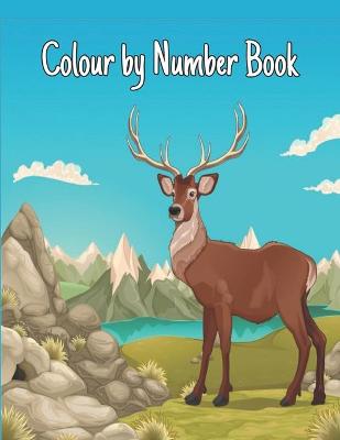 Book cover for Colour by Number Book