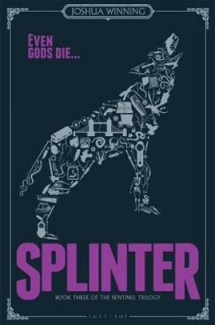 Cover of Splinter (Book Three of the Sentinel Trilogy)