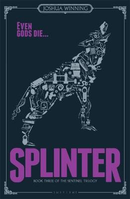 Book cover for Splinter (Book Three of the Sentinel Trilogy)