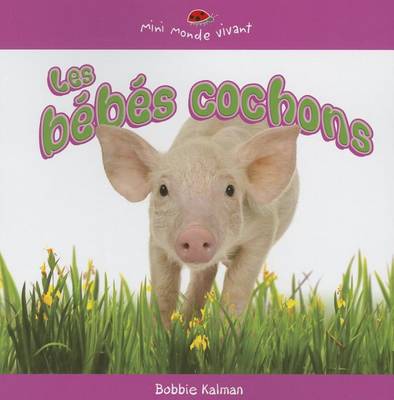 Book cover for Les Bebes Cochons