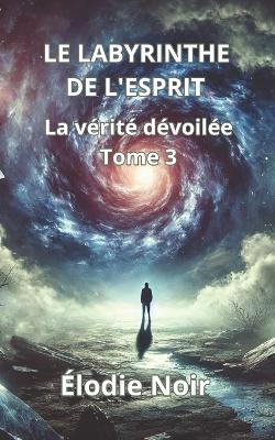 Book cover for Le Labyrinthe de l'Esprit