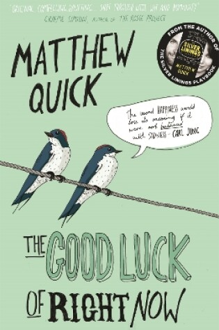 Cover of The Good Luck of Right Now