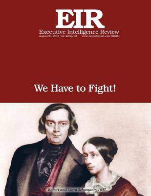Book cover for We Have to Fight!