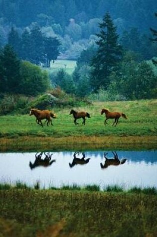 Cover of Horse Reflections Blank Sketchbook