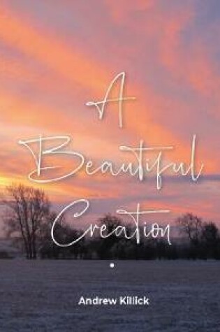 Cover of A Beautiful Creation