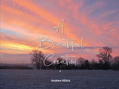 Book cover for A Beautiful Creation