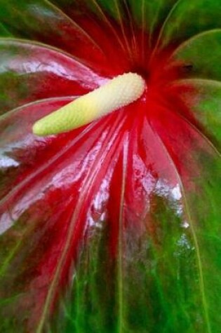 Cover of Flamingo Anthurium Flower Journal