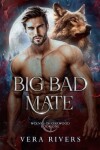 Book cover for Big Bad Mate