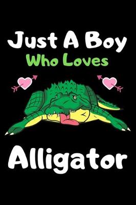 Book cover for Just a boy who loves alligator