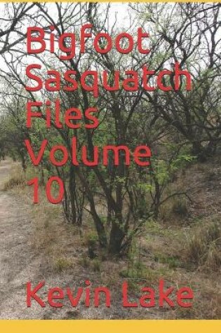 Cover of Bigfoot Sasquatch Files Volume 10