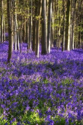 Cover of A Carpet of Bluebells in the Woods Journal