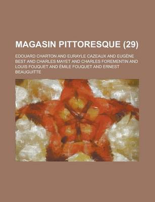 Book cover for Magasin Pittoresque (29 )