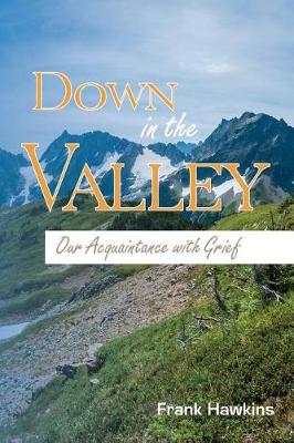 Book cover for Down in the Valley