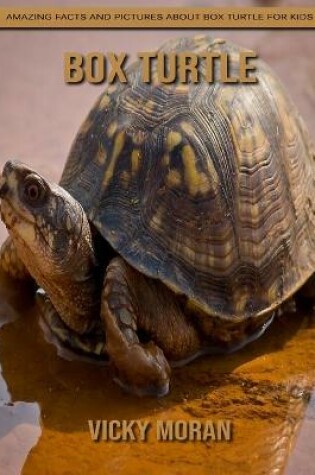 Cover of Box Turtle