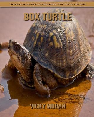 Book cover for Box Turtle