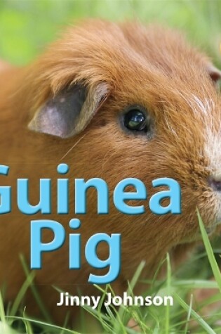 Cover of My New Pet: Guinea Pig