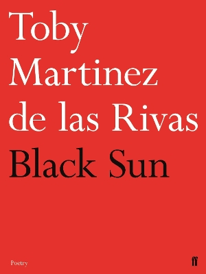 Book cover for Black Sun