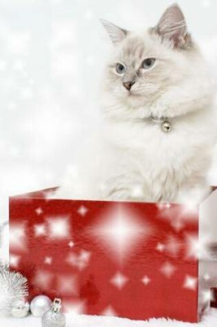 Cover of A Cute Cat Sitting in a Christmas Gift Box