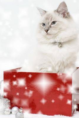 Book cover for A Cute Cat Sitting in a Christmas Gift Box