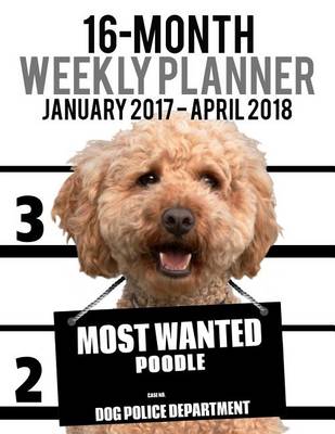 Cover of 16-Month Weekly Planner January 2017 - April 2018